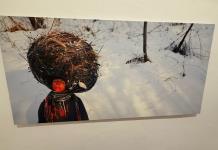 Arte canadiense abre reflexión sobre el territorio y el medio ambiente en el Museo Cabañas