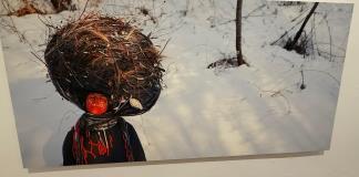 Arte canadiense abre reflexión sobre el territorio y el medio ambiente en el Museo Cabañas
