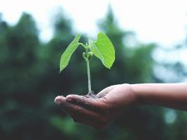 Los niños de hoy, víctimas del cambio climático mañana y de un futuro sin precedentes