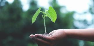 Los niños de hoy, víctimas del cambio climático mañana y de un futuro sin precedentes