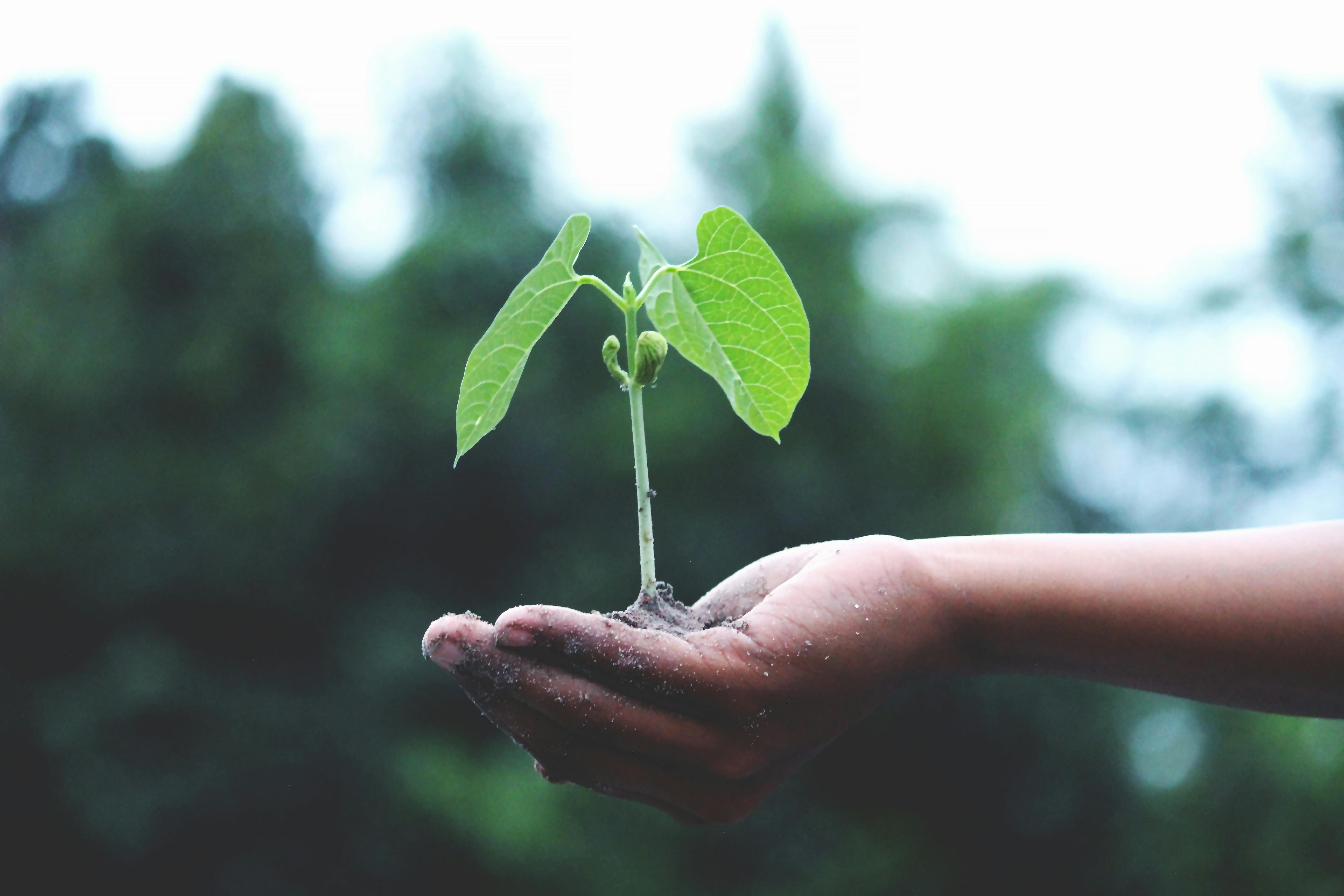 Los niños de hoy, víctimas del cambio climático mañana y de un futuro sin precedentes