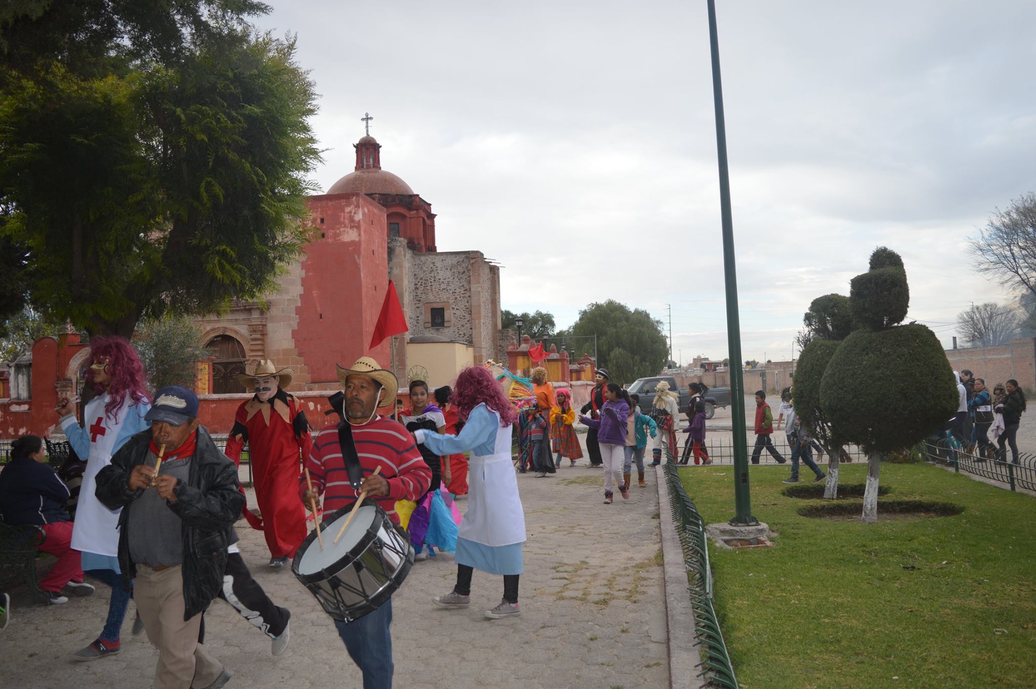 Celebrarán la exaltación del símbolo natural de la Laguna el próximo lunes 12 de mayo Celebrarán la exaltación del símbolo natural de la Laguna el próximo lunes 12 de mayo