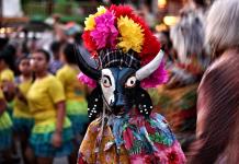 Celebrarán la exaltación del símbolo natural de la Laguna el próximo lunes 12 de mayo