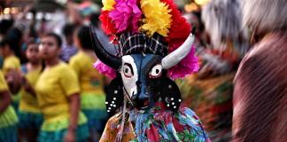 Celebrarán la exaltación del símbolo natural de la Laguna el próximo lunes 12 de mayo