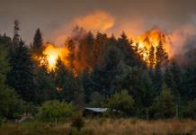 Greenpeace alerta de que recientes incendios en la Patagonia fueron los peores en 30 años