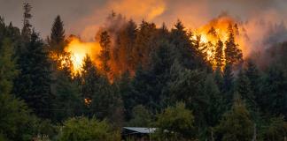 Greenpeace alerta de que recientes incendios en la Patagonia fueron los peores en 30 años