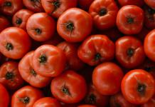 Productores de jitomate en Zacatecas, entre el sol del semidesierto y la sombra de nuevos aranceles