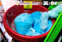 Decomisan cinco toneladas de droga en Tijuana