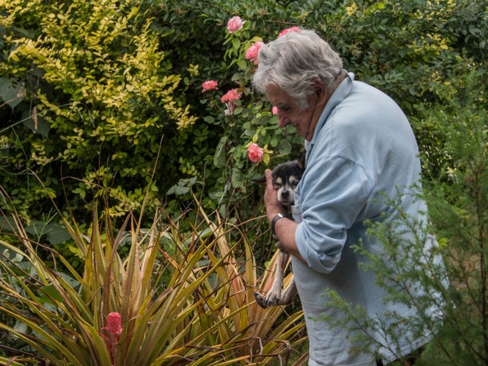 Murió Pepe Mujica, el exguerrillero y presidente de Uruguay que asombró al mundo Murió Pepe Mujica, el exguerrillero y presidente de Uruguay que asombró al mundo