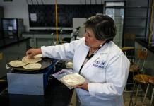 Desarrollan en México una tortilla contra la desnutrición y falta de neveras