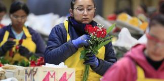 La producción industrial en Colombia sube 1,6 % en marzo tras ocho meses en números rojos