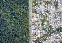 Deforestación en selva amazónica de Brasil se redujo, pero aumenta degradación del suelo