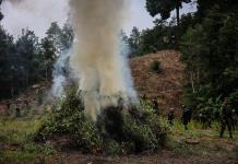 Fiscalía destruye más de 13 toneladas de precursores químicos y drogas en este de México