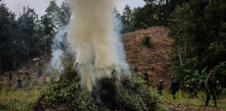 Fiscalía destruye más de 13 toneladas de precursores químicos y drogas en este de México