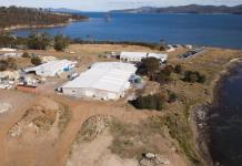 Una granja australiana apuesta por las algas para limitar el metano del ganado y luchar contra el cambio climático