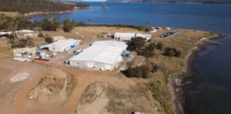 Una granja australiana apuesta por las algas para limitar el metano del ganado y luchar contra el cambio climático