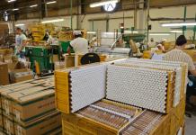 Los puros mecanizados de Cuba, el codiciado benjamín de los habanos