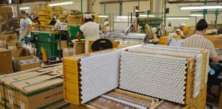 Los puros mecanizados de Cuba, el codiciado benjamín de los habanos