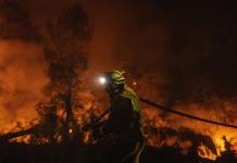 La actividad de incendios global, menor de la media en lo que va de año, según Copernicus