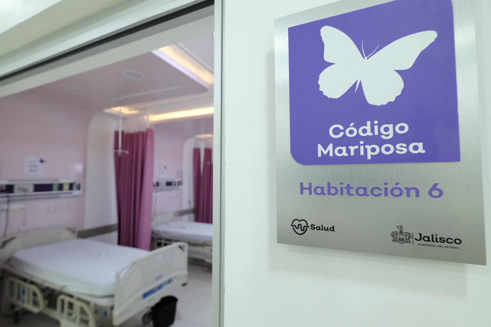 Duelo respetado, una guía para superar la muerte de un hijo y donar leche para dar vida Duelo respetado, una guía para superar la muerte de un hijo y donar leche para dar vida