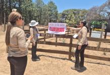 Profepa clausura dos desarrollos turísticos clandestinos en La Primavera