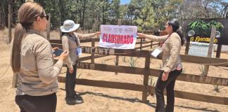 Profepa clausura dos desarrollos turísticos clandestinos en La Primavera