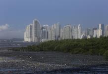 Renovables, IA y manglares, clave para hacer frente a la crisis climática en Latinoamérica