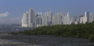 Renovables, IA y manglares, clave para hacer frente a la crisis climática en Latinoamérica