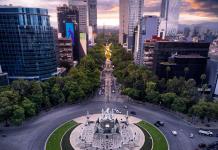 ONG impulsan reforestación urbana en Ciudad de México para mitigar el calentamiento global
