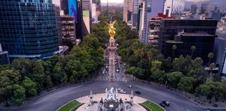 ONG impulsan reforestación urbana en Ciudad de México para mitigar el calentamiento global