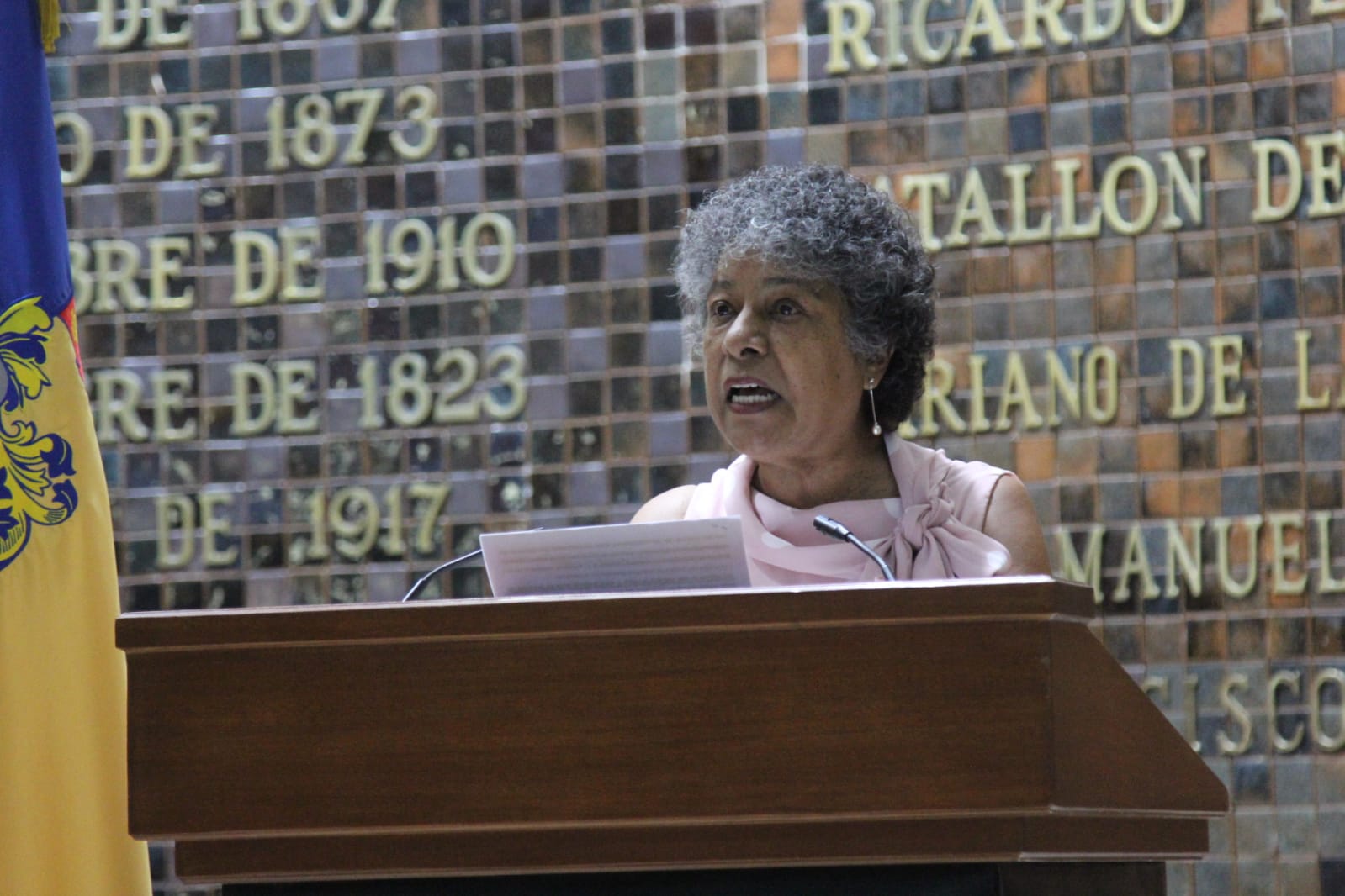 Piden diputados de Morena que se aplique auditoria externa al Ipejal Piden diputados de Morena que se aplique auditoria externa al Ipejal
