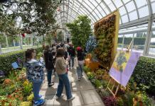 Lirios, rosas y girasoles de Van Gogh llenan de color el Jardín Botánico de Nueva York