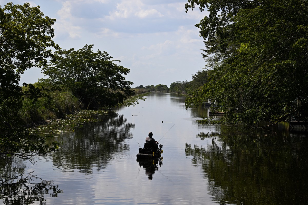 Sequía extrema pone a prueba la fauna y el turismo en los Everglades de Florida Sequía extrema pone a prueba la fauna y el turismo en los Everglades de Florida