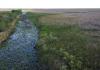 Sequía extrema pone a prueba la fauna y el turismo en los Everglades de Florida