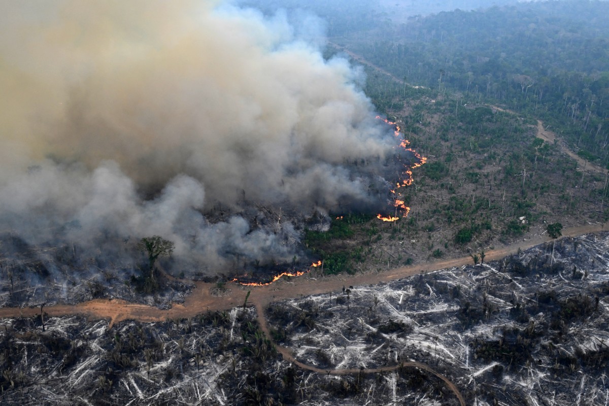 Récord de destrucción de bosques tropicales en 2024, con grave deterioro en Brasil y Bolivia Récord de destrucción de bosques tropicales en 2024, con grave deterioro en Brasil y Bolivia