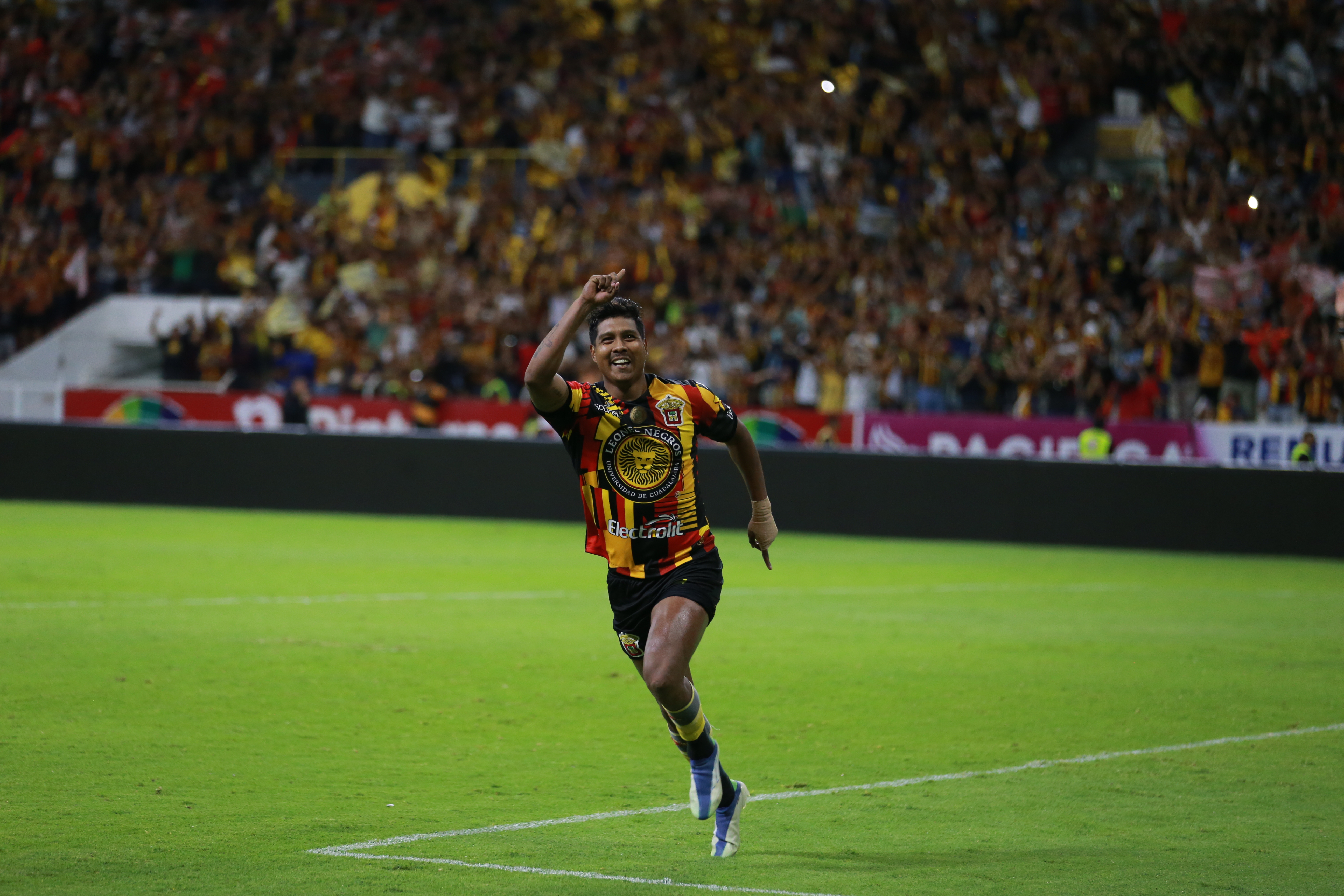 Leones Negros, campeones de la Liga Expansión MX Leones Negros, campeones de la Liga Expansión MX