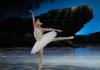 Clásico y contemporáneo se funden en la Gala del Ballet de Jalisco