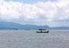 Denuncian muerte masiva de peces en lago de Chapala por posible descarga de aguas negras