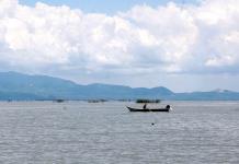 Denuncian muerte masiva de peces en lago de Chapala por posible descarga de aguas negras