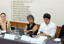 Diputada de Morena acusa opacidad en recursos para buscar desaparecidos