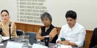 Diputada de Morena acusa opacidad en recursos para buscar desaparecidos