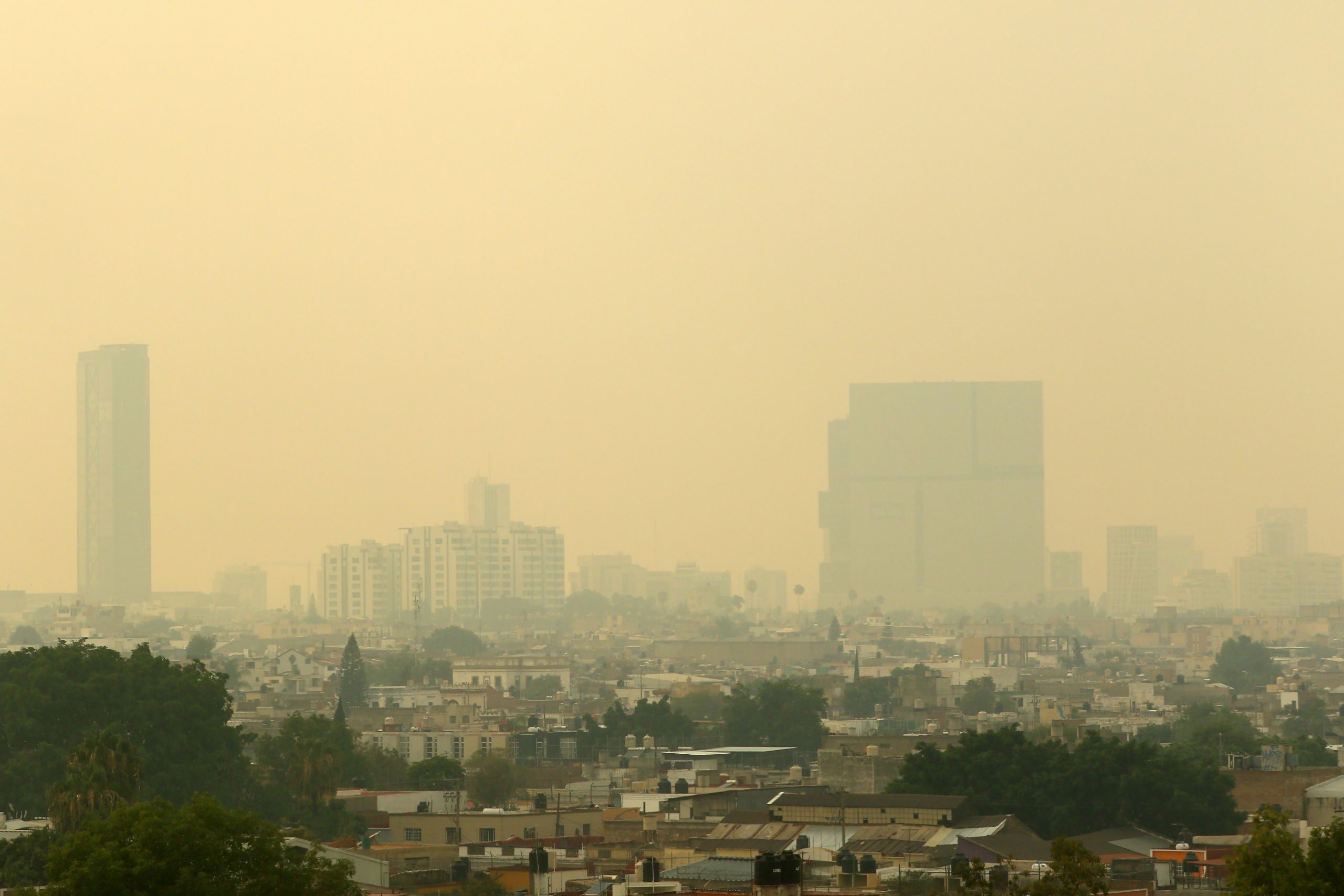 Cuando respirar enfermaParte I: Salud en juego Cuando respirar enfermaParte I: Salud en juego