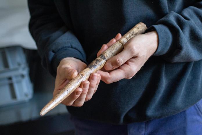 Los humanos ya fabricaban herramientas con huesos de ballena hace 20.000 años Los humanos ya fabricaban herramientas con huesos de ballena hace 20.000 años