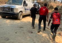 Hombre fallece tras ataque de abejas en zona rural de Casimiro Castillo