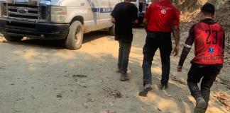 Hombre fallece tras ataque de abejas en zona rural de Casimiro Castillo