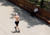 La mitad del mundo vivió un mes más de calor extremo por el cambio climático, según estudio