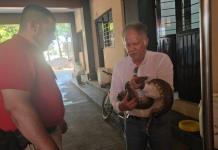Urgen a crear centro regional de rescate de fauna en el sur de Jalisco: 17 años de trabajo voluntario no son suficientes