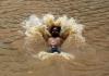 Ante la llegada del verano, lanzan campaña internacional para afrontar las olas de calor