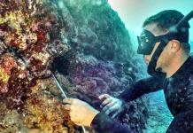 El sombrío futuro del coral en un mundo sobrecalentado