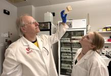 Las moscas revelan la biología de la adicción a la cocaína, llave para impulsar terapias